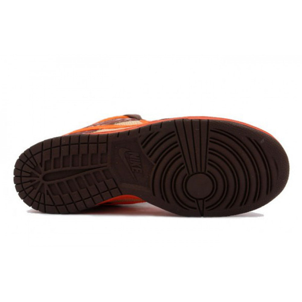Nike SB Dunk Low Pro  Hunter Reese Forbes  304292-281