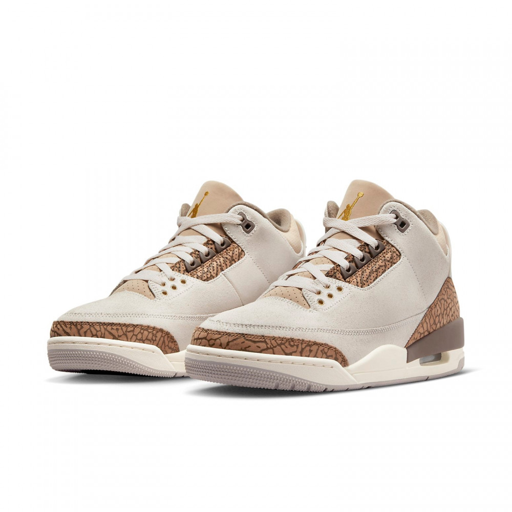 Air Jordan 3 Retro  Palomino  CT8532-102