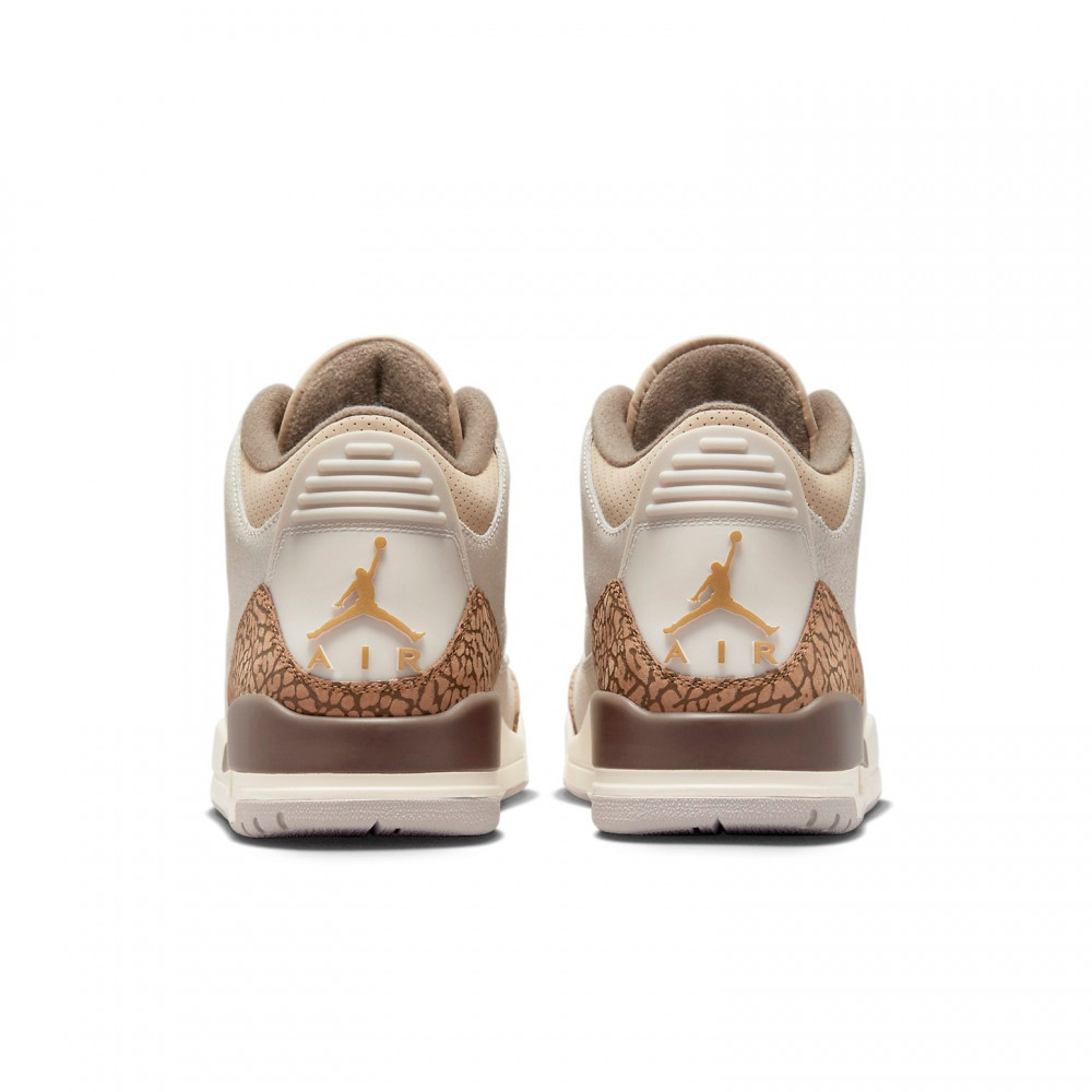 Air Jordan 3 Retro  Palomino  CT8532-102