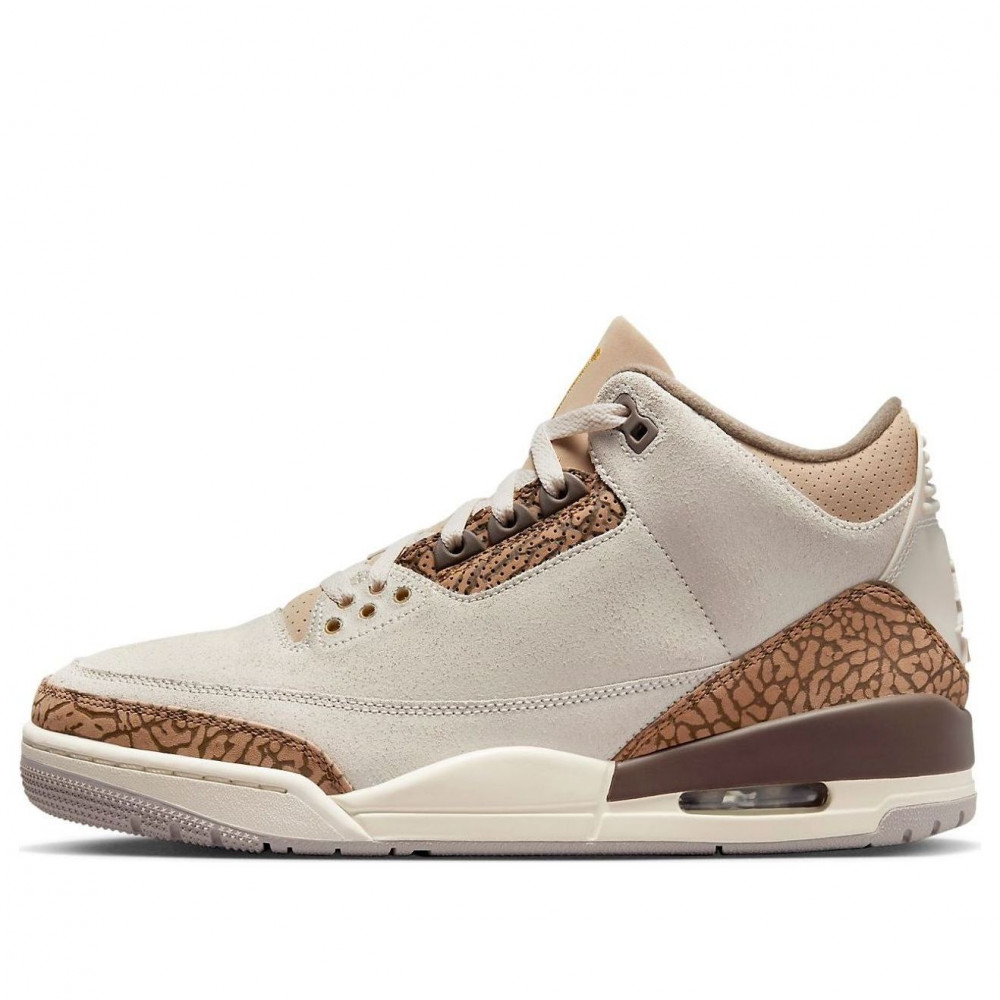 Air Jordan 3 Retro  Palomino  CT8532-102